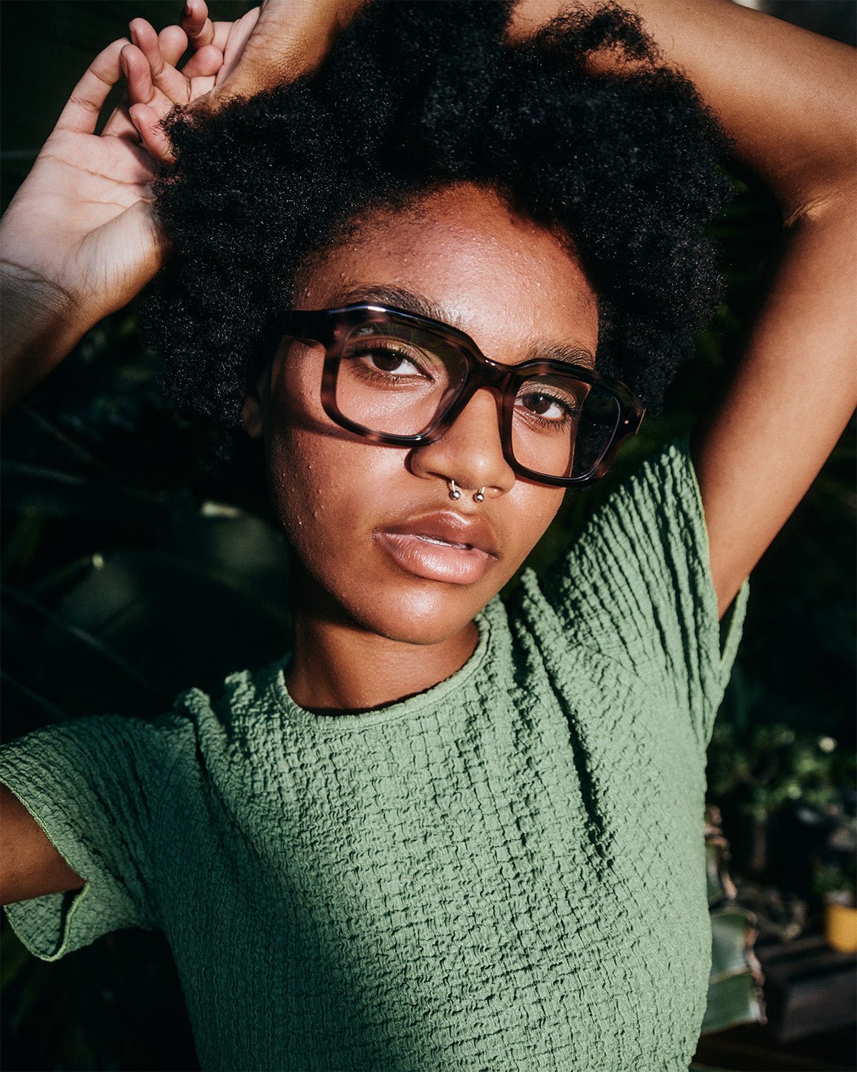 Vera Optical / Navy Acetate & Blue - Light Lens - Shade Files