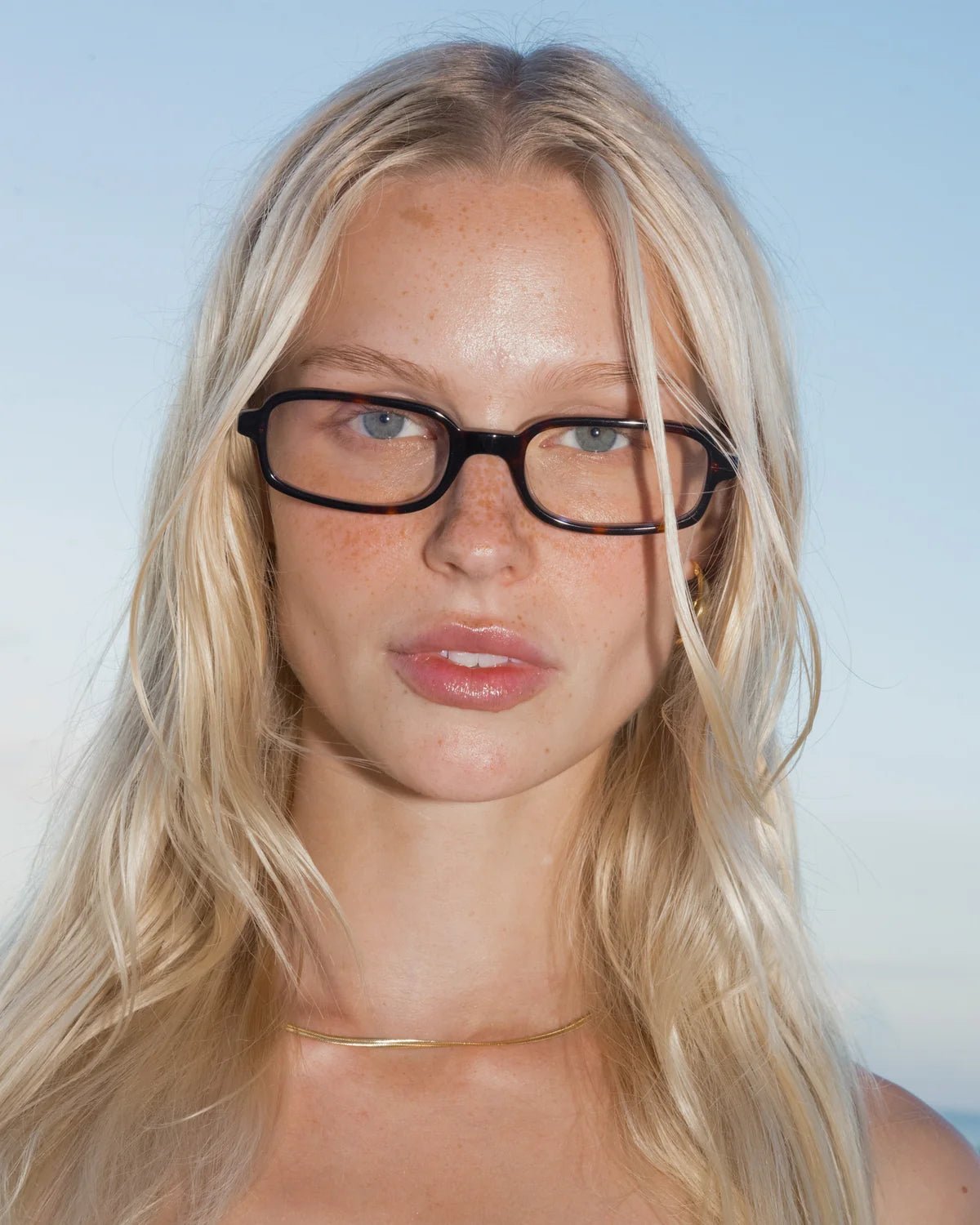 Vera / Tort & Blue-Light Lens - Shade Files