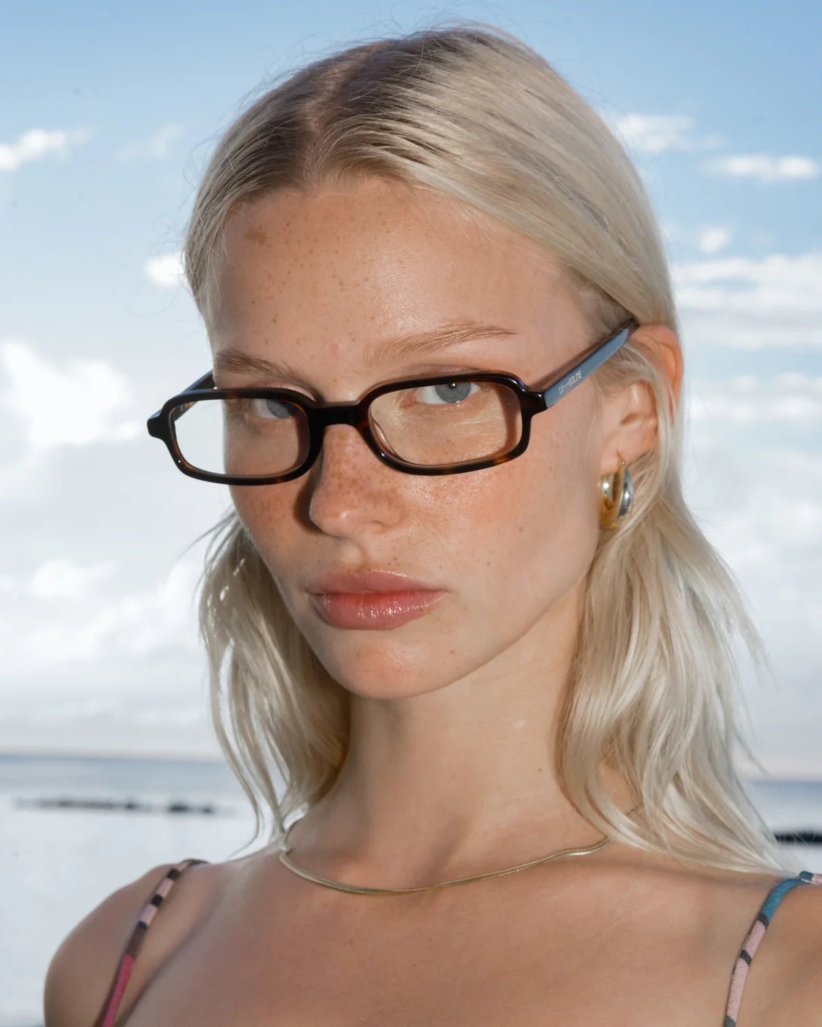 Vera / Tort & Blue-Light Lens - Shade Files
