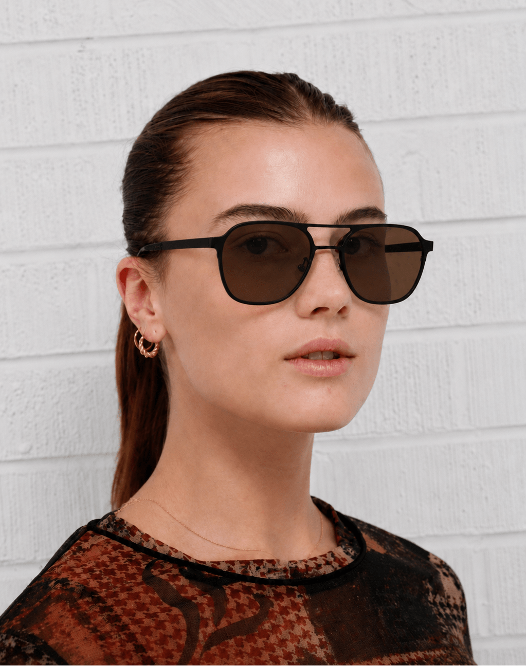 Walter / Black Titanium & Polarised Brown Lens - Shade Files