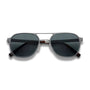 Walter / Brushed Silver Titanium & Polarised Grey Lens - Shade Files