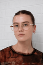 Walter Optical / Brushed Gold Titanium & Clear Lens - Shade Files