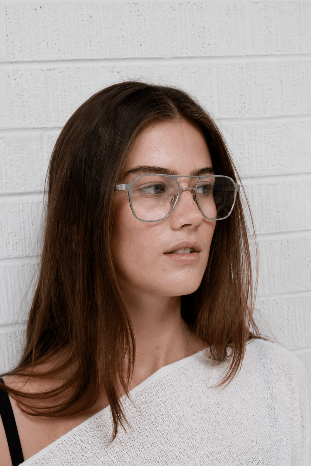 Walter Optical / Brushed Silver Titanium & Clear Lens - Shade Files