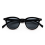 Walton / Elysium Double Black & Ink Polarised Lens - Shade Files
