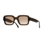 Apollo / Cola Acetate & Brown Gradient Lens - Shade Files