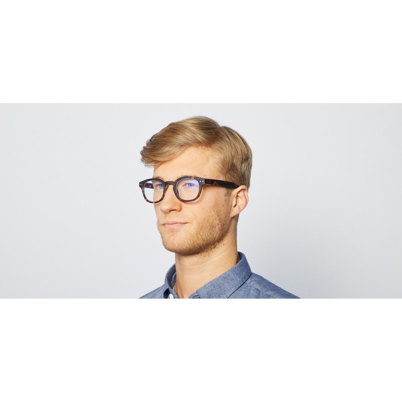 Blue - Light Optical Glasses / Style C / Tortoise - Shade Files