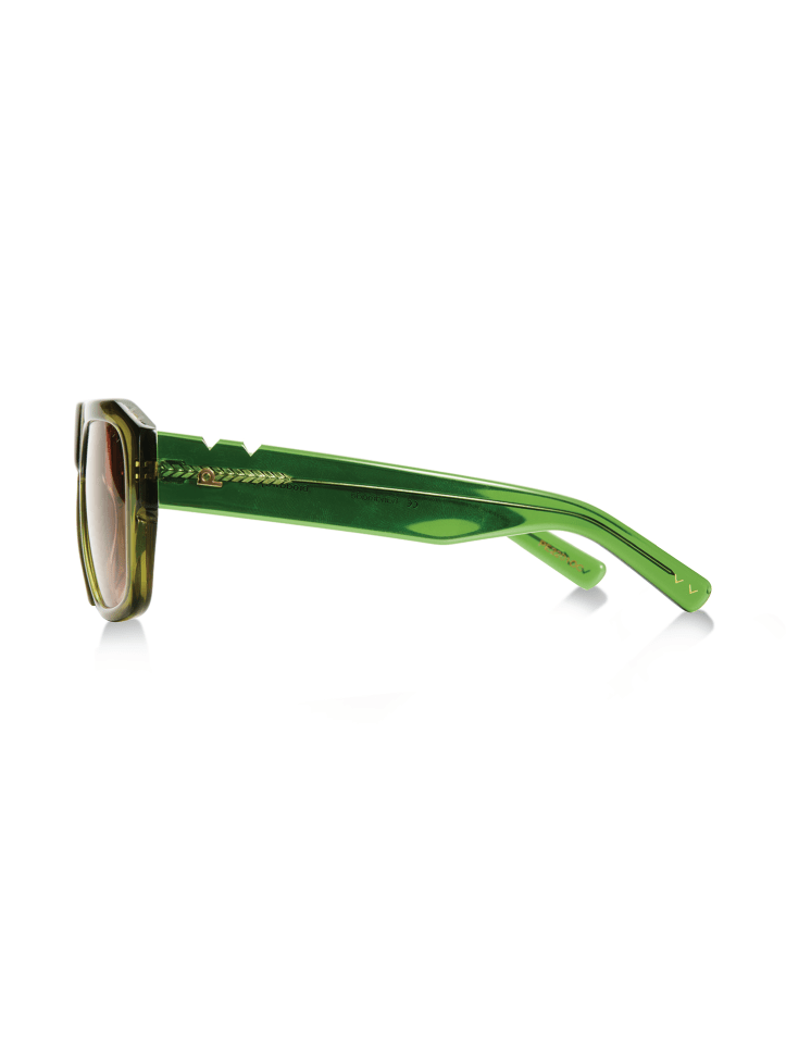 Broadway & Canal / Olive Cactus - Shade Files