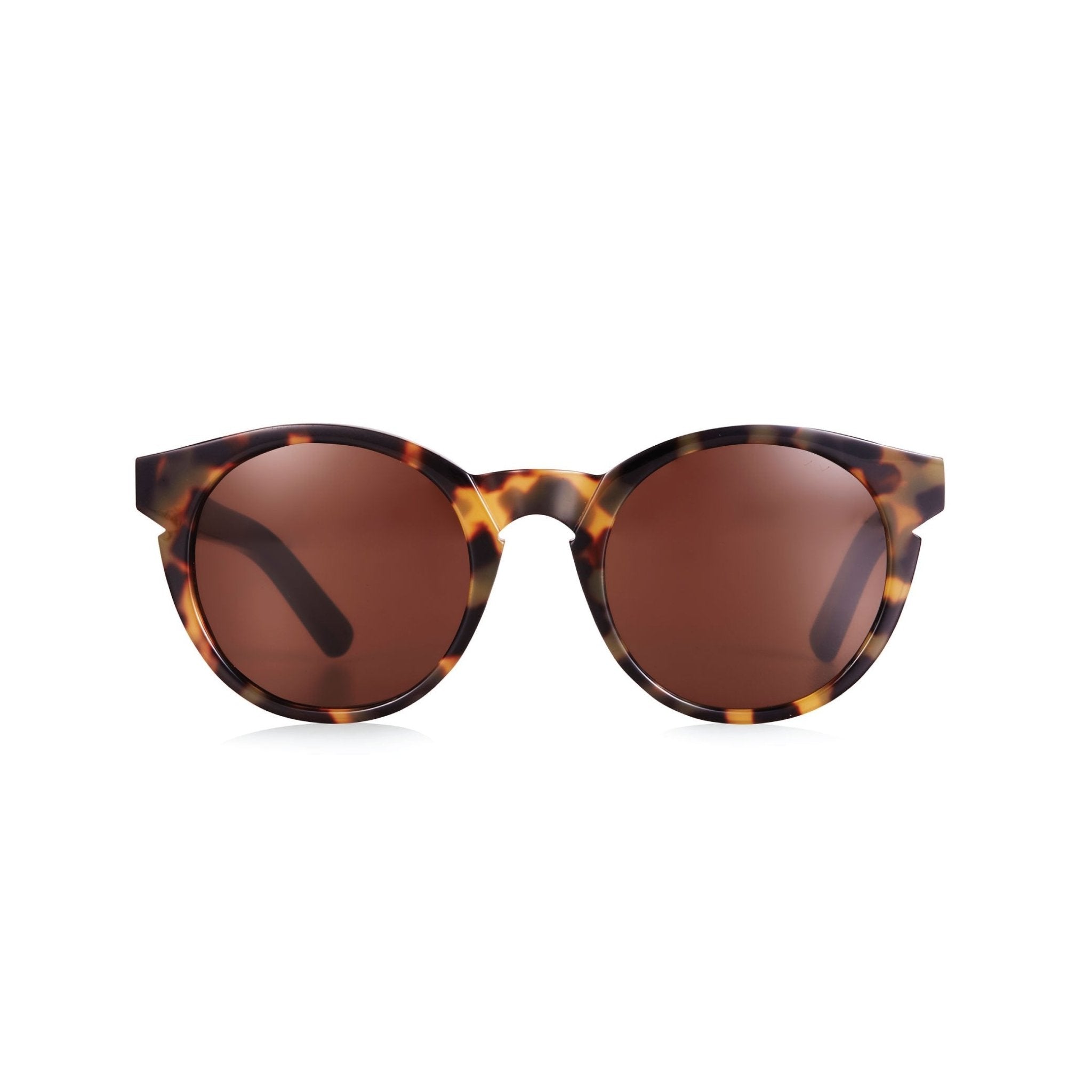 Lime & Coconut / Dark Tortoise & Black - Shade Files