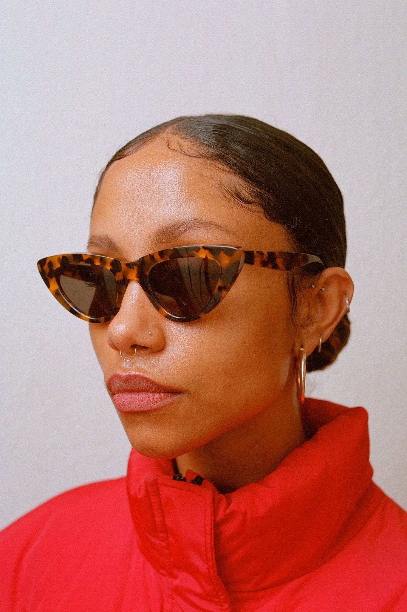 Moon / Havana Acetate & Grey Lens - Shade Files