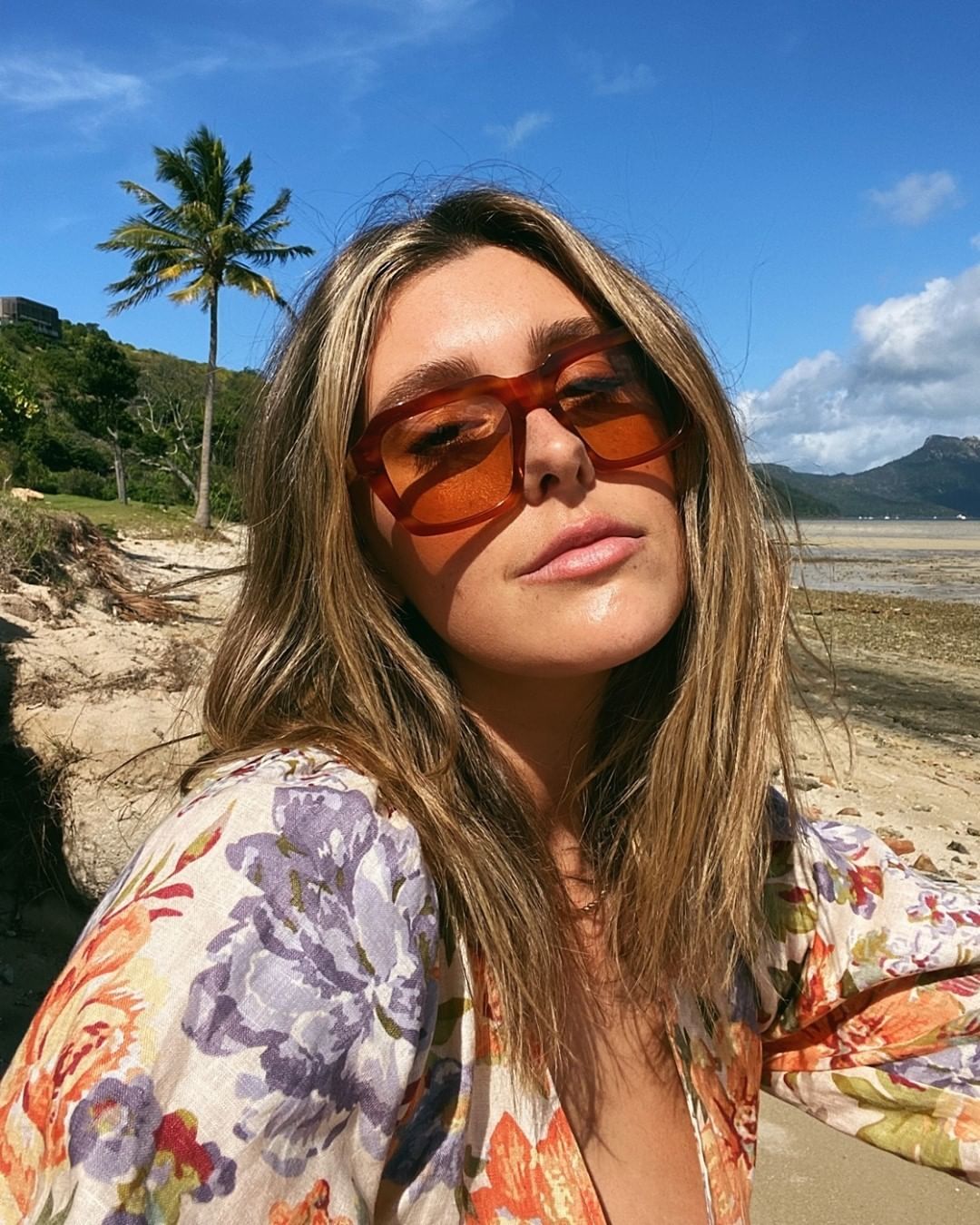 Nice & Easy / Havana Caramel - Shade Files