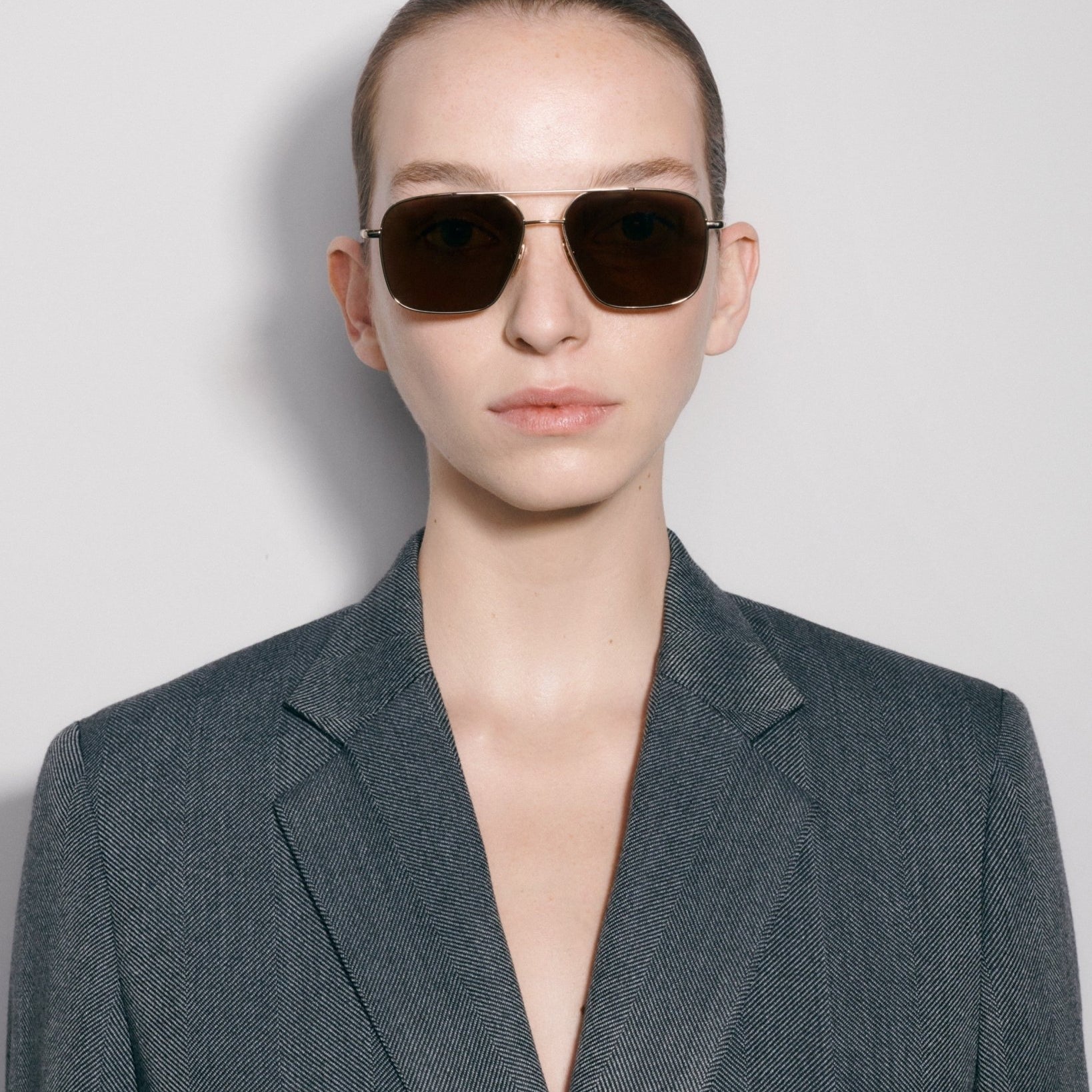 Steel Limited Aviator / Gold & Brown Lens - Shade Files