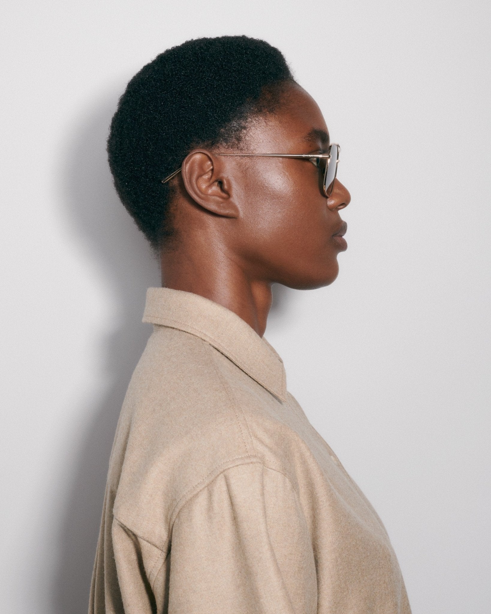 Steel Limited Aviator / Gold & Green Lens - Shade Files