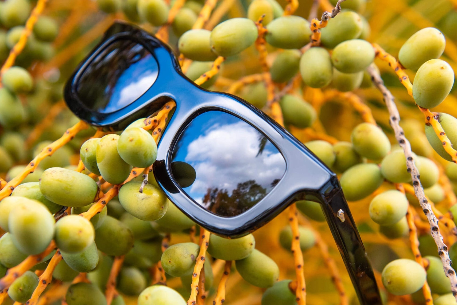 The Anti Matter / Black Bio & Polarised Grey Lens - Shade Files