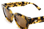 The Astro Dazey / Leopard Tortoise Bio & Polarised Brown Lens - Shade Files