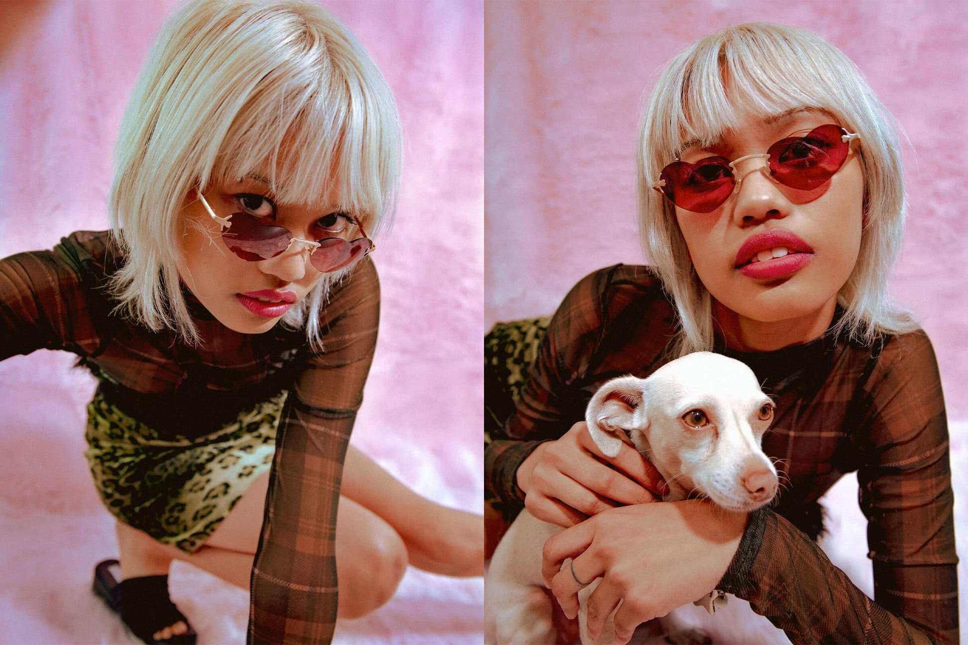 The Doctor Love 2000 / Snow Leopard Bio & Rosewood Gradient Lens - Shade Files