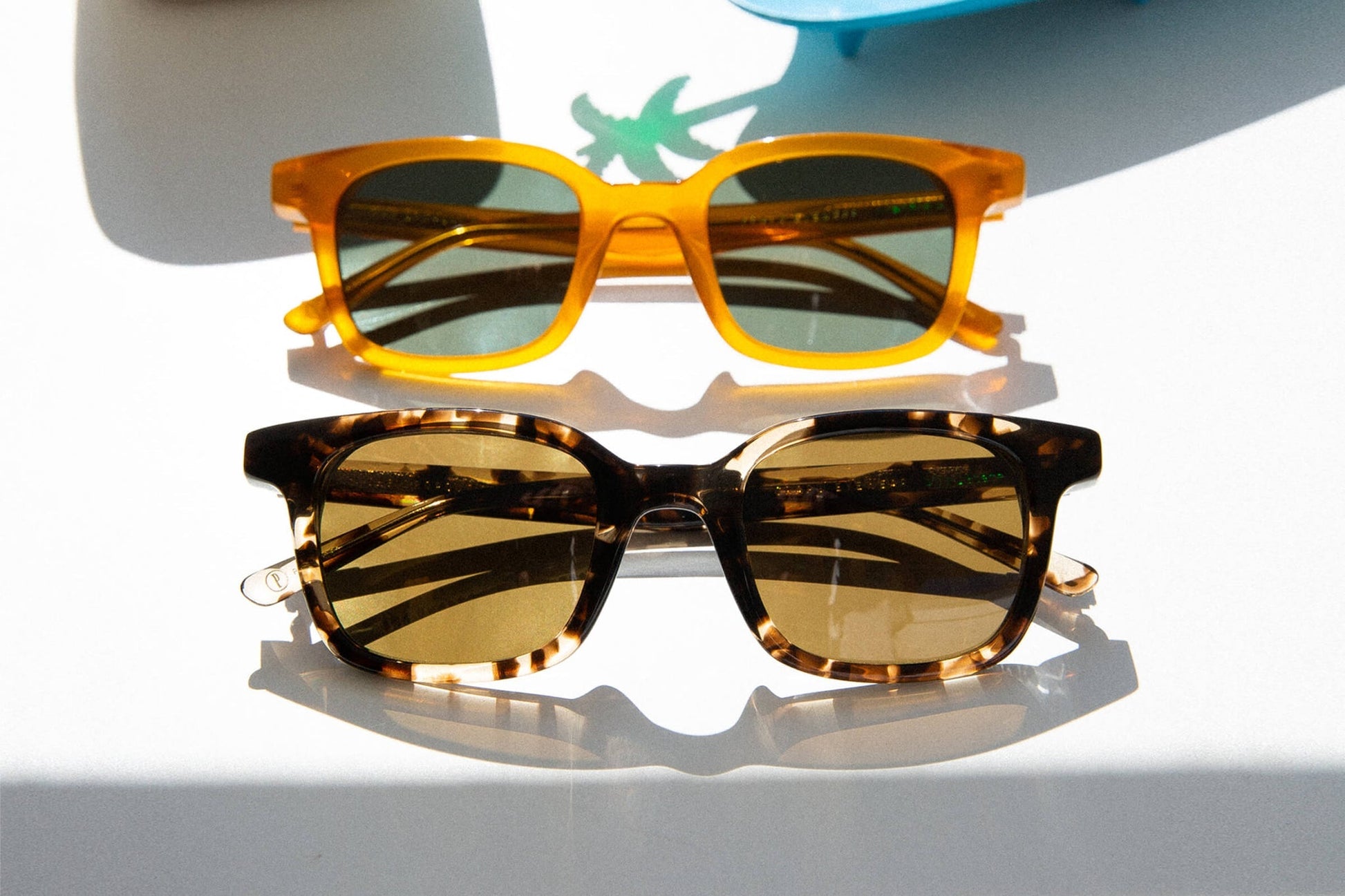 The Dropout Boogie / Desert Tortoise Bio & Polarised Grapeseed Lens - Shade Files