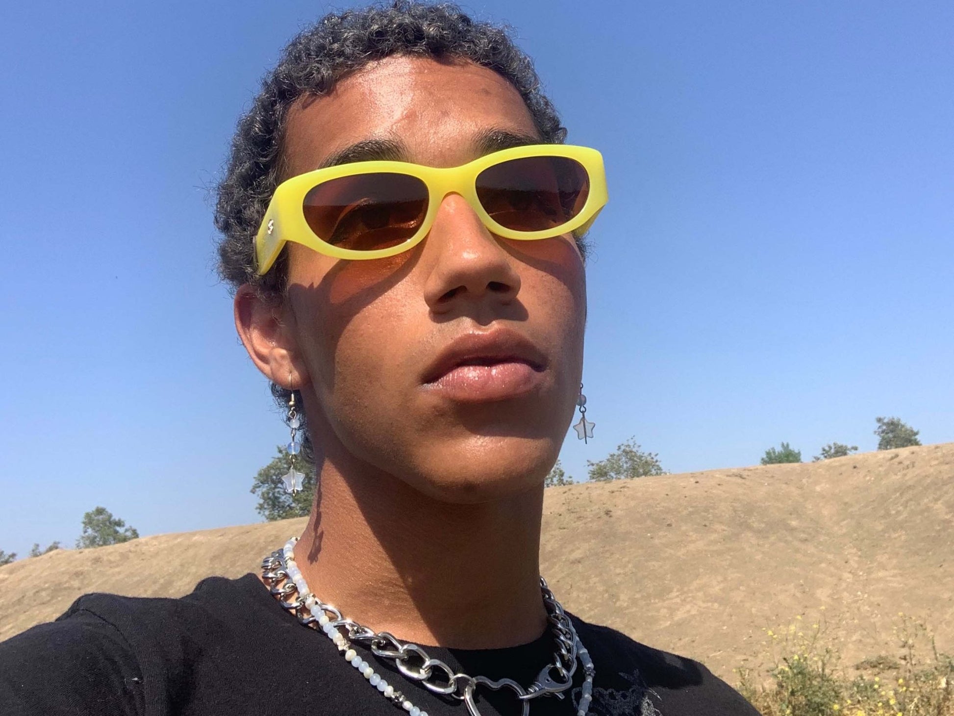 The Funk Punk / Pineapple Bio & Rosewood Sunset Lens - Shade Files