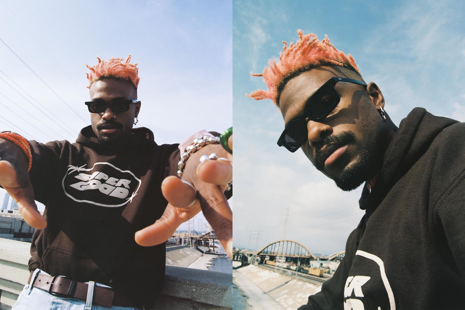 The Head Rattle / Black Bio & Plum Lens - Shade Files