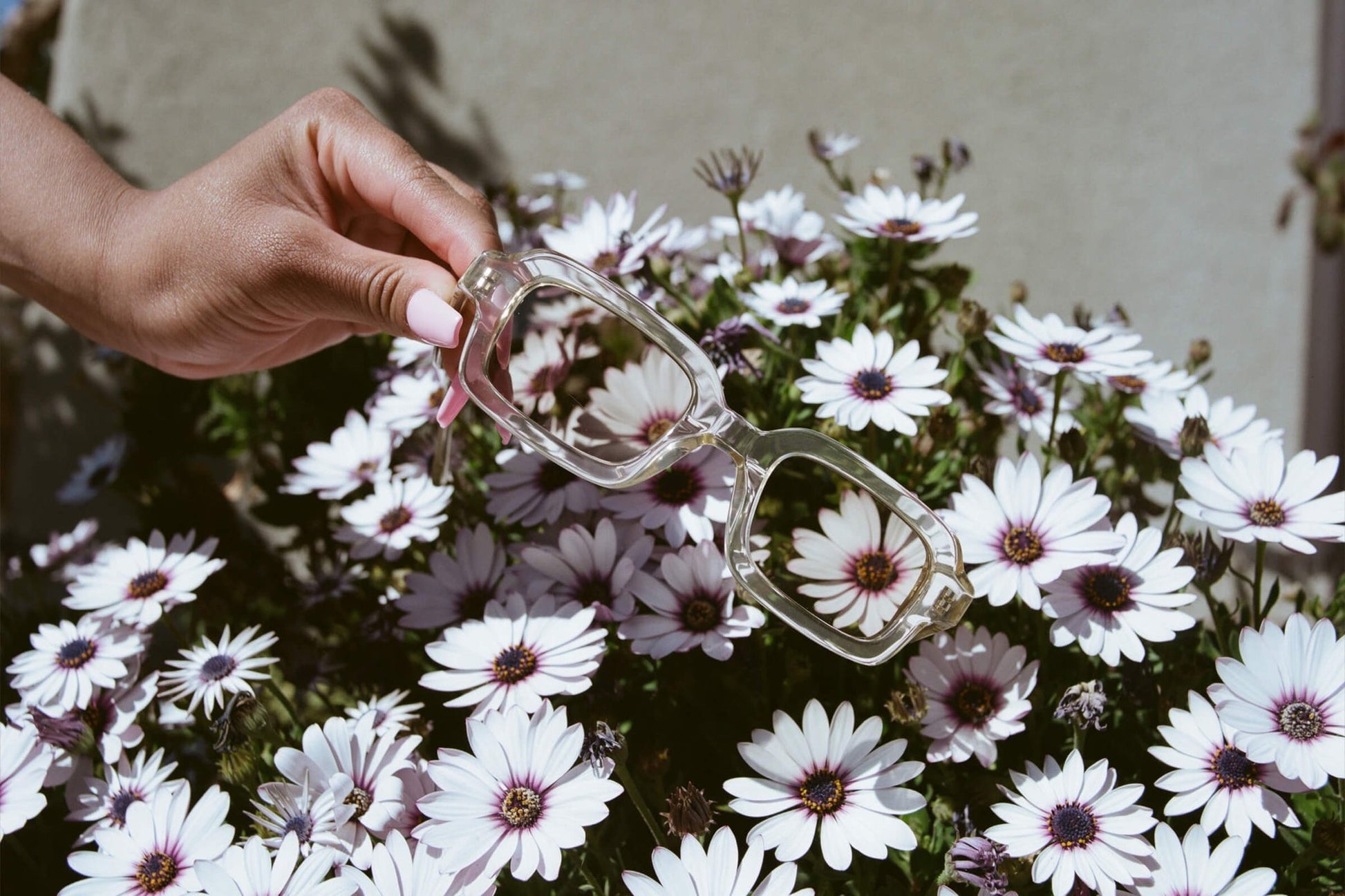 The Lucid Blur / Crystal Champagne Bio - Shade Files