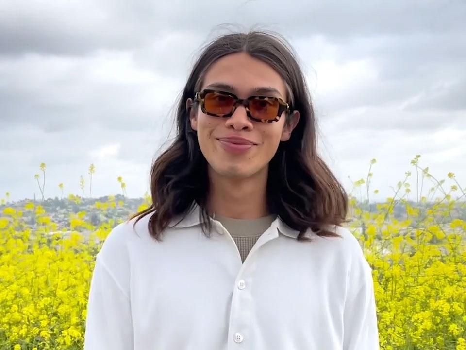 The Lucid Blur / Jaguar Tortoise Bio - Shade Files