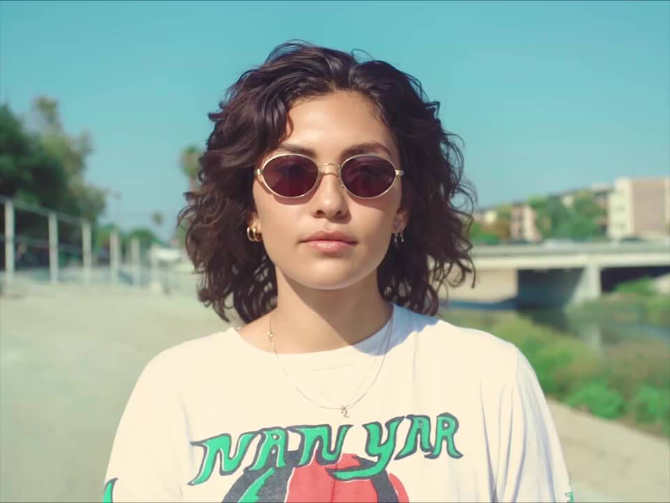 The New Riddim / Brushed Gold & Dark Tortoise Lens - Shade Files