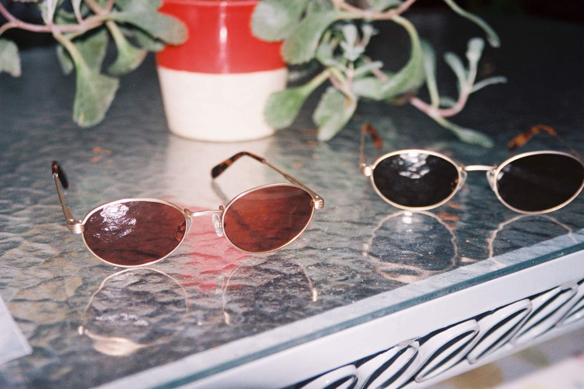 The New Riddim / Brushed Gold Tortoise Bio & Rose Lens - Shade Files