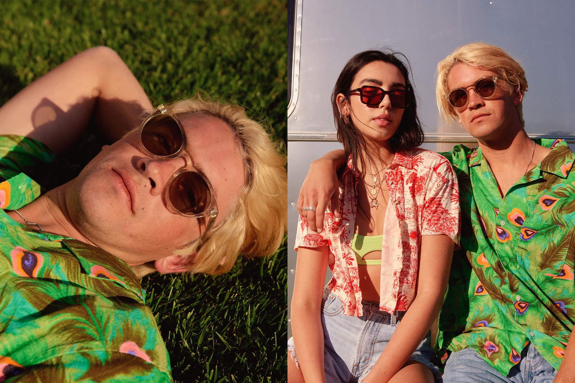 The Shake Appeal / Crystal Champagne & Polarised Olive Lens - Shade Files