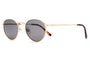 The Zen Patrol / Brushed Gold Tortoise Bio & Polarised Grey Lens - Shade Files