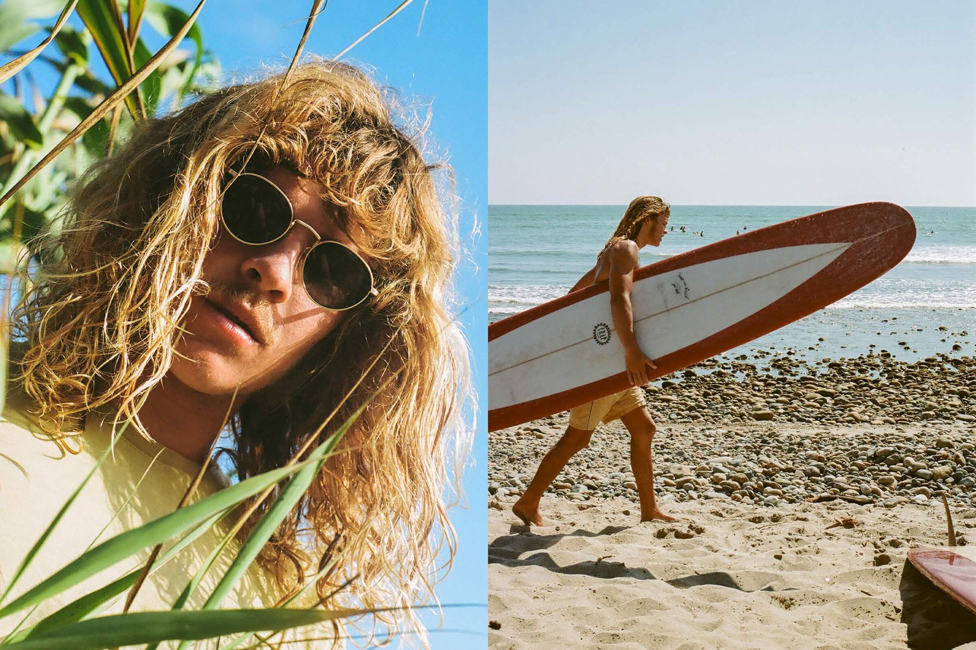 The Zen Patrol / Brushed Gold Tortoise Bio & Polarised Grey Lens - Shade Files