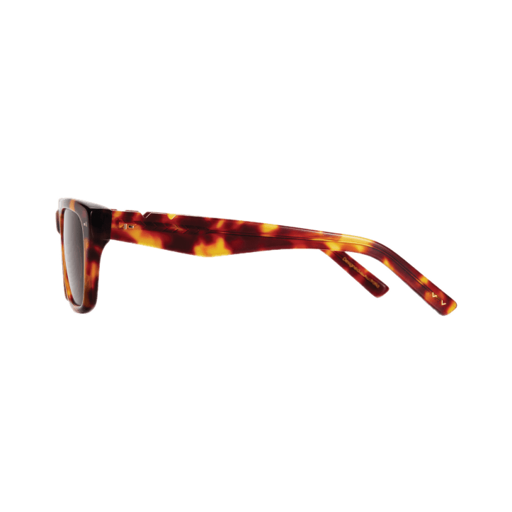 X Tahnee / Today / Light Tortoise - Shade Files