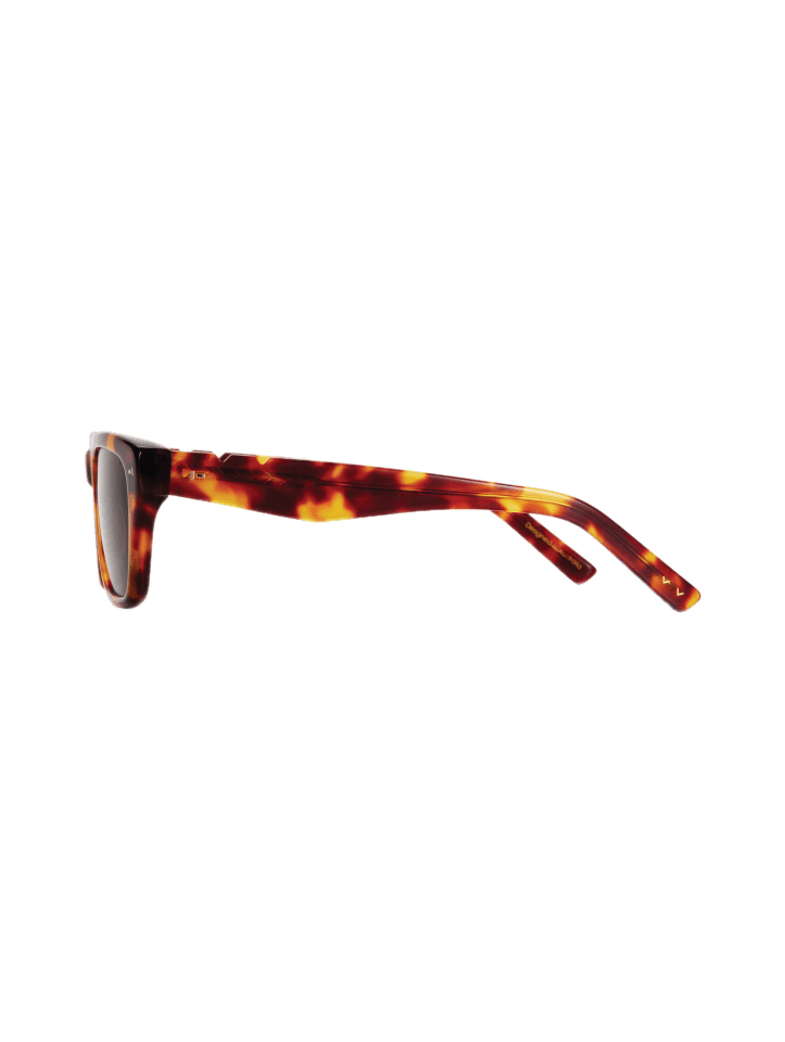 X Tahnee / Today / Light Tortoise - Shade Files