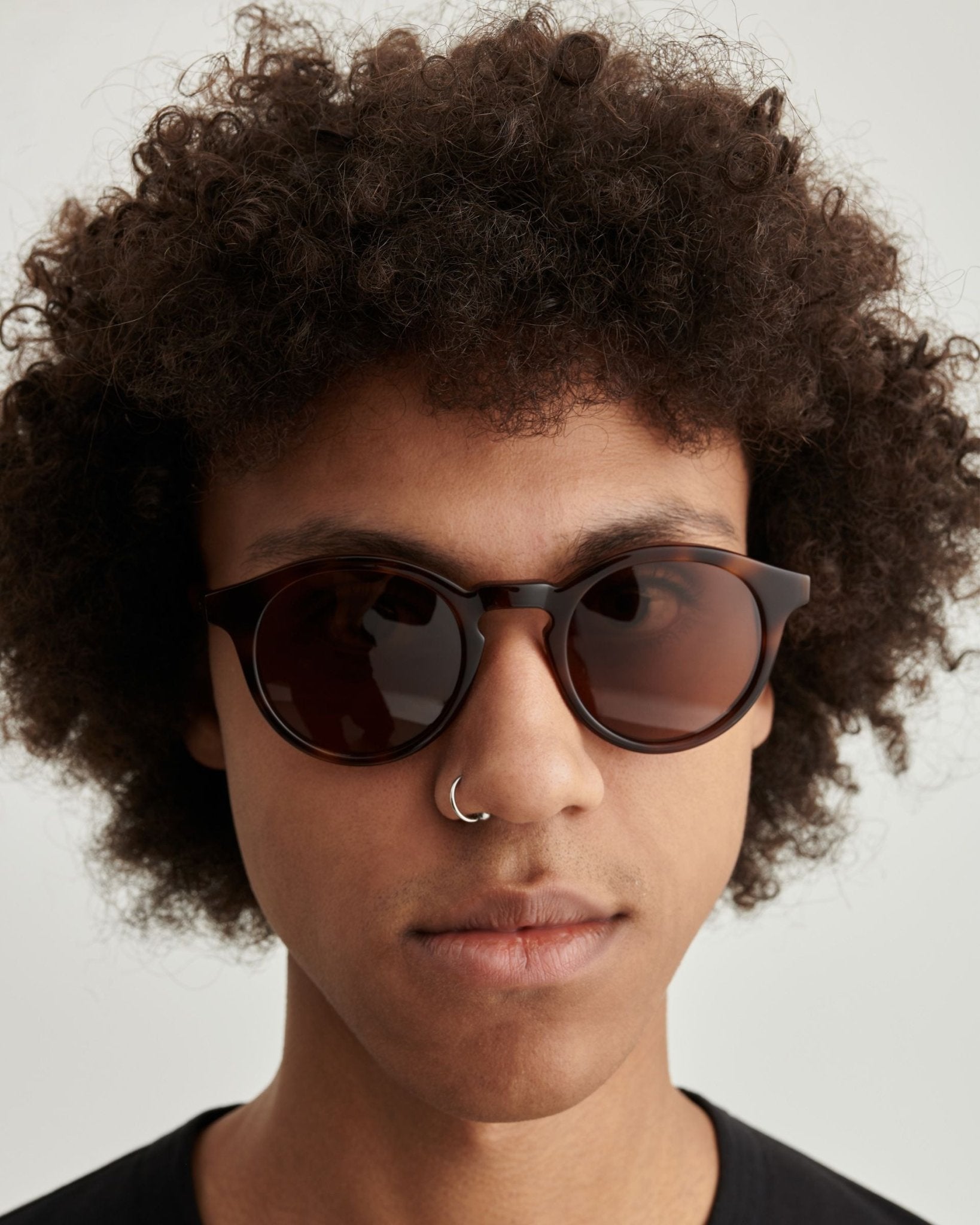 Zinedine / Tortoise - Shade Files